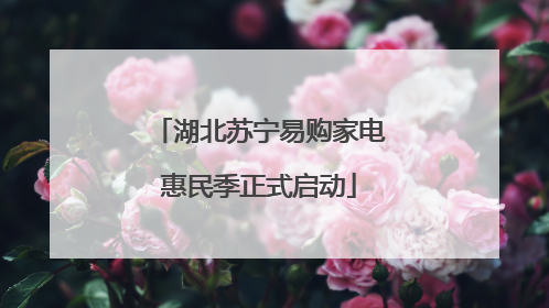 湖北苏宁易购家电惠民季正式启动