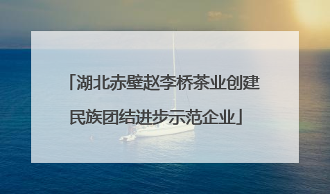 湖北赤壁赵李桥茶业创建民族团结进步示范企业