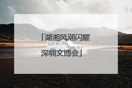 湖湘风潮闪耀深圳文博会