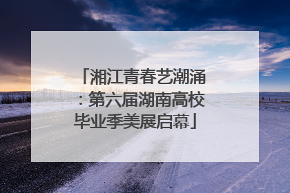 湘江青春艺潮涌：第六届湖南高校毕业季美展启幕