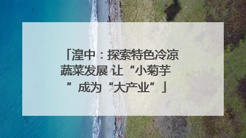 湟中：探索特色冷凉蔬菜发展 让“小菊芋”成为“大产业”