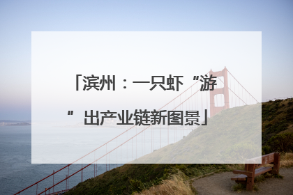 滨州：一只虾“游”出产业链新图景