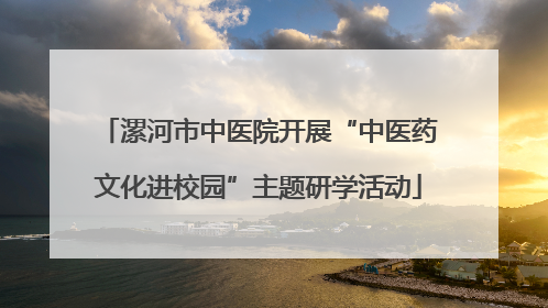 漯河市中医院开展“中医药文化进校园”主题研学活动