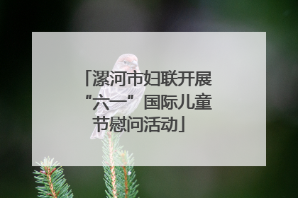 漯河市妇联开展“六一”国际儿童节慰问活动