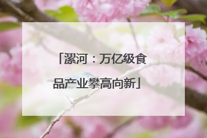 漯河：万亿级食品产业攀高向新