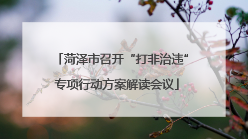 菏泽市召开“打非治违”专项行动方案解读会议