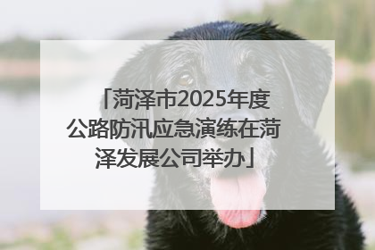 菏泽市2025年度公路防汛应急演练在菏泽发展公司举办