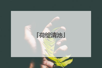 荷绽清池