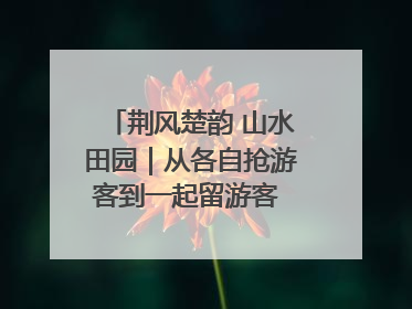 荆风楚韵 山水田园｜从各自抢游客到一起留游客 钟祥七村抱团解了“乡愁”添了“乡酬”