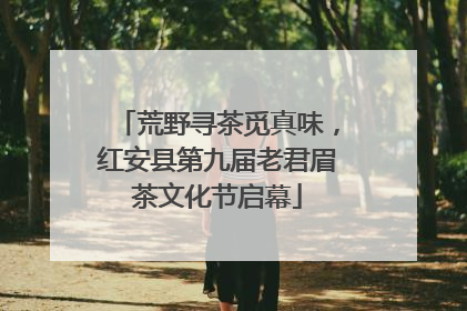 荒野寻茶觅真味，红安县第九届老君眉茶文化节启幕