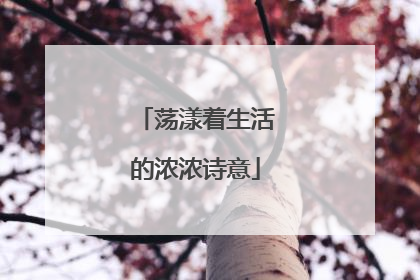 荡漾着生活的浓浓诗意