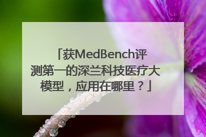 获MedBench评测第一的深兰科技医疗大模型，应用在哪里？