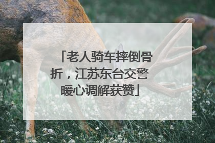 老人骑车摔倒骨折，江苏东台交警暖心调解获赞