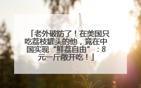 老外破防了！在美国只吃荔枝罐头的他，竟在中国实现“鲜荔自由”：8元一斤敞开吃！