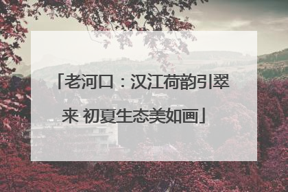 老河口：汉江荷韵引翠来 初夏生态美如画