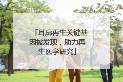 耳廓再生关键基因被发现，助力再生医学研究
