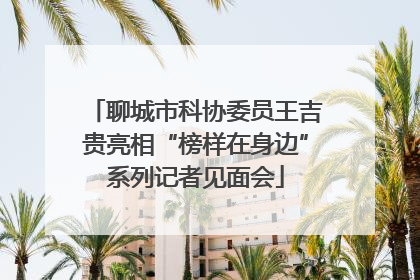 聊城市科协委员王吉贵亮相“榜样在身边”系列记者见面会
