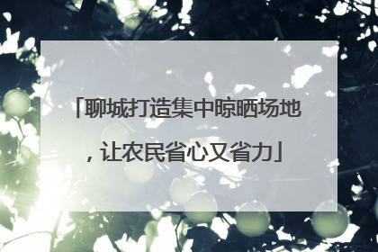 聊城打造集中晾晒场地，让农民省心又省力