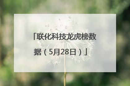 联化科技龙虎榜数据（5月28日）