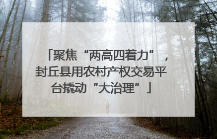 聚焦“两高四着力”，封丘县用农村产权交易平台撬动“大治理”
