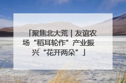 聚焦北大荒｜友谊农场“稻耳轮作”产业振兴“花开两朵”
