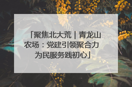 聚焦北大荒｜青龙山农场：党建引领聚合力 为民服务践初心
