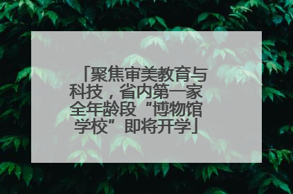 聚焦审美教育与科技，省内第一家全年龄段“博物馆学校”即将开学