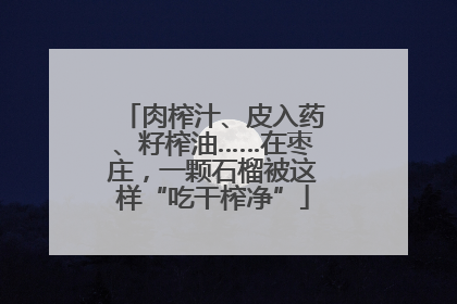 肉榨汁、皮入药、籽榨油……在枣庄，一颗石榴被这样“吃干榨净”