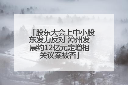 股东大会上中小股东发力反对 漳州发展约12亿元定增相关议案被否
