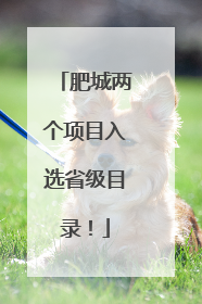肥城两个项目入选省级目录！