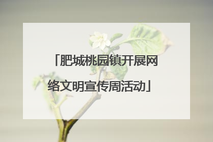 肥城桃园镇开展网络文明宣传周活动
