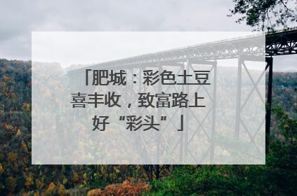 肥城：彩色土豆喜丰收，致富路上好“彩头”