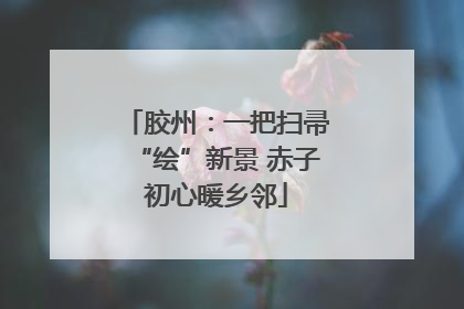 胶州：一把扫帚“绘”新景 赤子初心暖乡邻