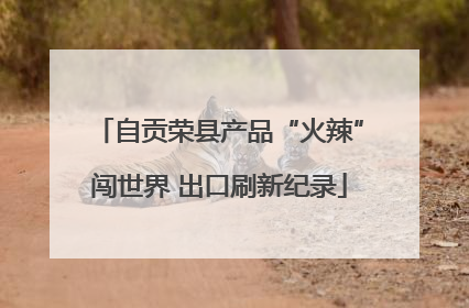 自贡荣县产品“火辣”闯世界 出口刷新纪录
