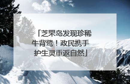 芝罘岛发现珍稀牛背鹭！政民携手护生灵重返自然