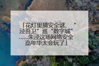 花灯里猜安全谜、“泾吾卫”巡“数字城”……朱泾这场网络安全嘉年华太会玩了