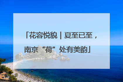 花容悦貌｜夏至已至，南京“荷”处有美韵