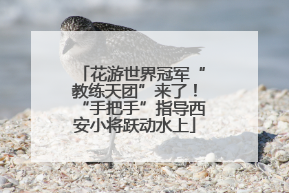 花游世界冠军“教练天团”来了！“手把手”指导西安小将跃动水上
