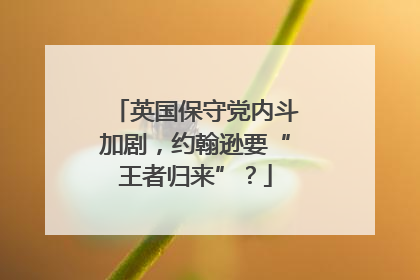 英国保守党内斗加剧，约翰逊要“王者归来”？