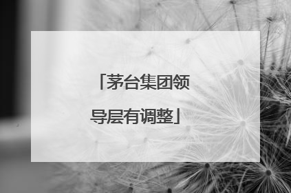 茅台集团领导层有调整
