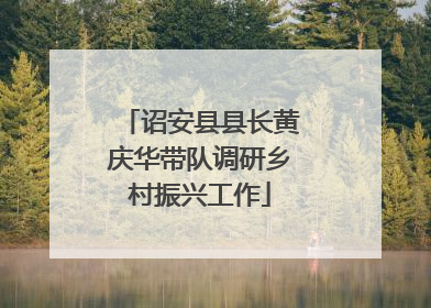 诏安县县长黄庆华带队调研乡村振兴工作