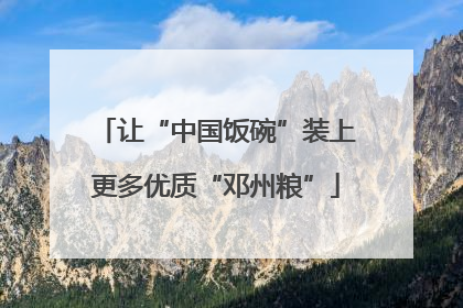 让“中国饭碗”装上更多优质“邓州粮”