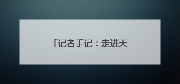 记者手记：走进天津港，窥见未来现代化港口的模样