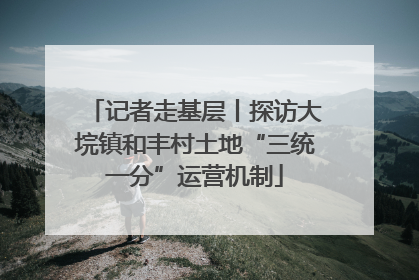 记者走基层丨探访大垸镇和丰村土地“三统一分”运营机制