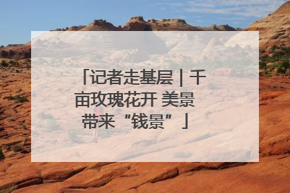 记者走基层｜千亩玫瑰花开 美景带来“钱景”