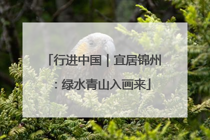 行进中国｜宜居锦州：绿水青山入画来