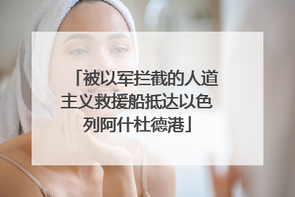 被以军拦截的人道主义救援船抵达以色列阿什杜德港