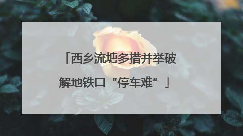 西乡流塘多措并举破解地铁口“停车难”