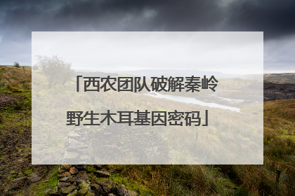西农团队破解秦岭野生木耳基因密码