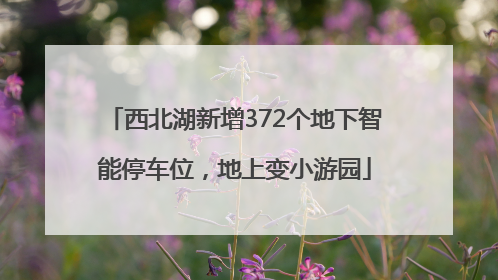 西北湖新增372个地下智能停车位，地上变小游园